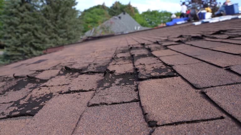 Best Emergency Roof Repair Services  in Hayfield, VA