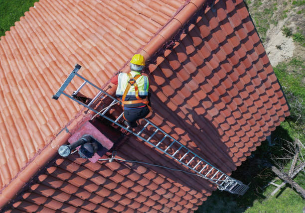 Best Roof Moss and Algae Removal  in Hayfield, VA